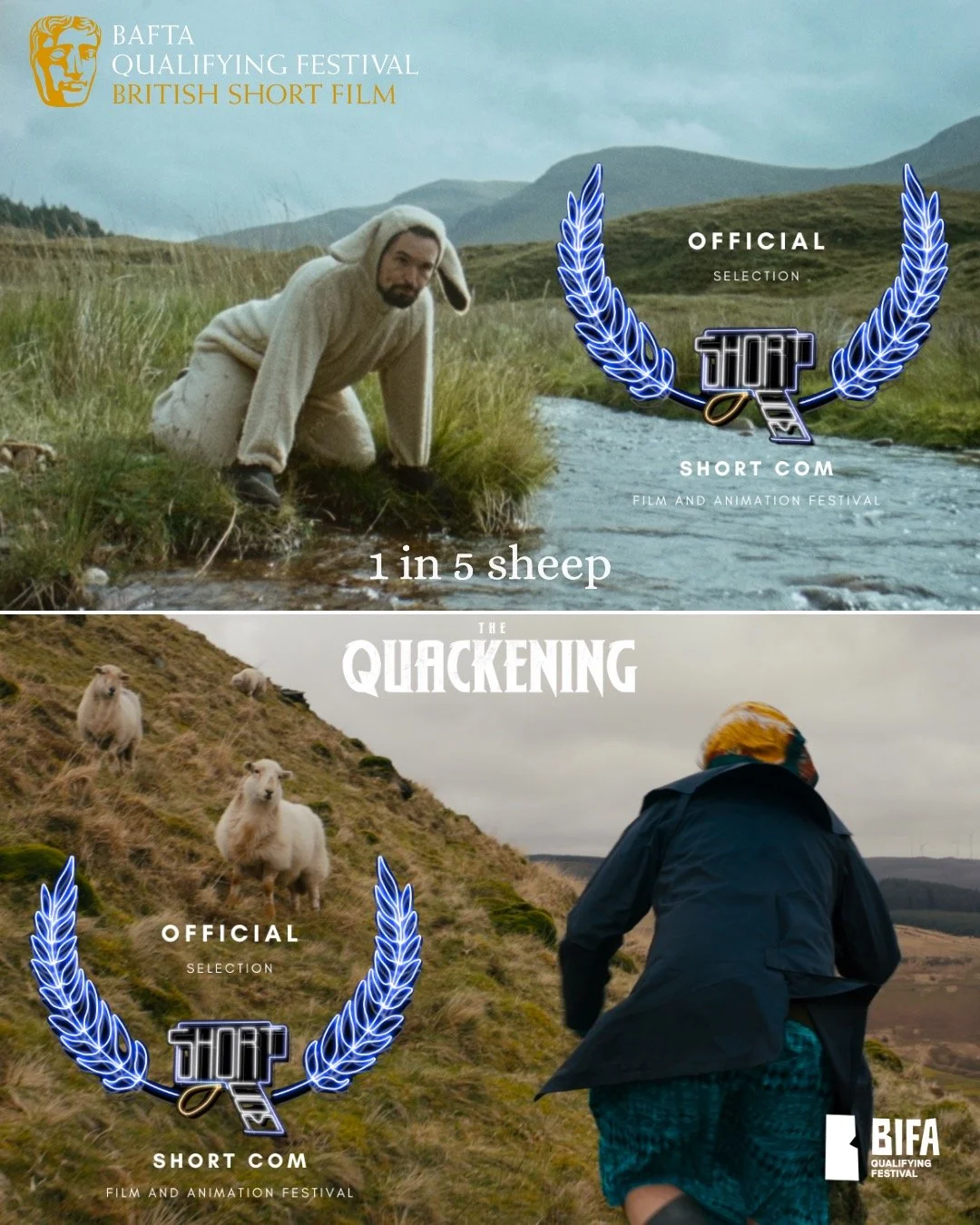 Double-bill (pun intended 🦆) at the @bafta &amp; @bifa_film qualifying @shortcomfilmfestival - for our two short films (coincidentally both featuring real sheep)- 'THE QUACKENING' &amp; '1 in 5 sheep'. 

Two VERY different films- one a silly horror 