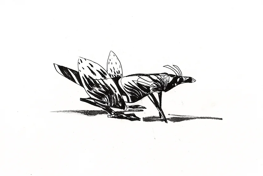 IT10.jpg