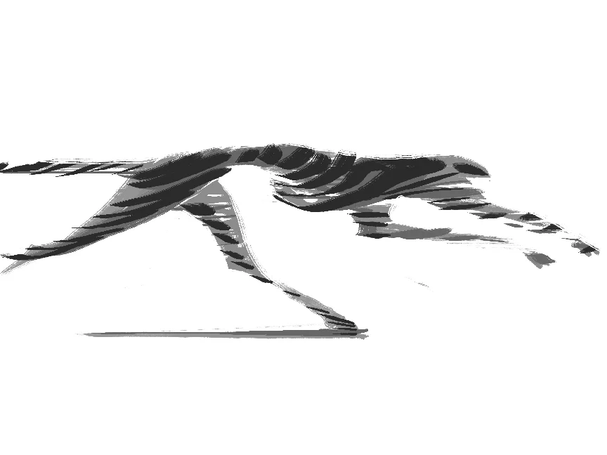 Rununer.jpg