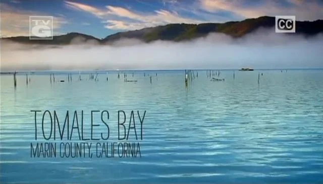 Reinventing The Meal / Open