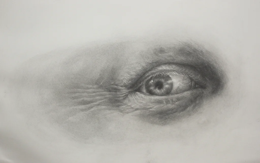  31x25, pencil on paper, ​2010 