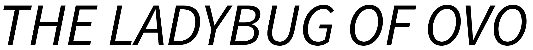 Ladybug.jpg