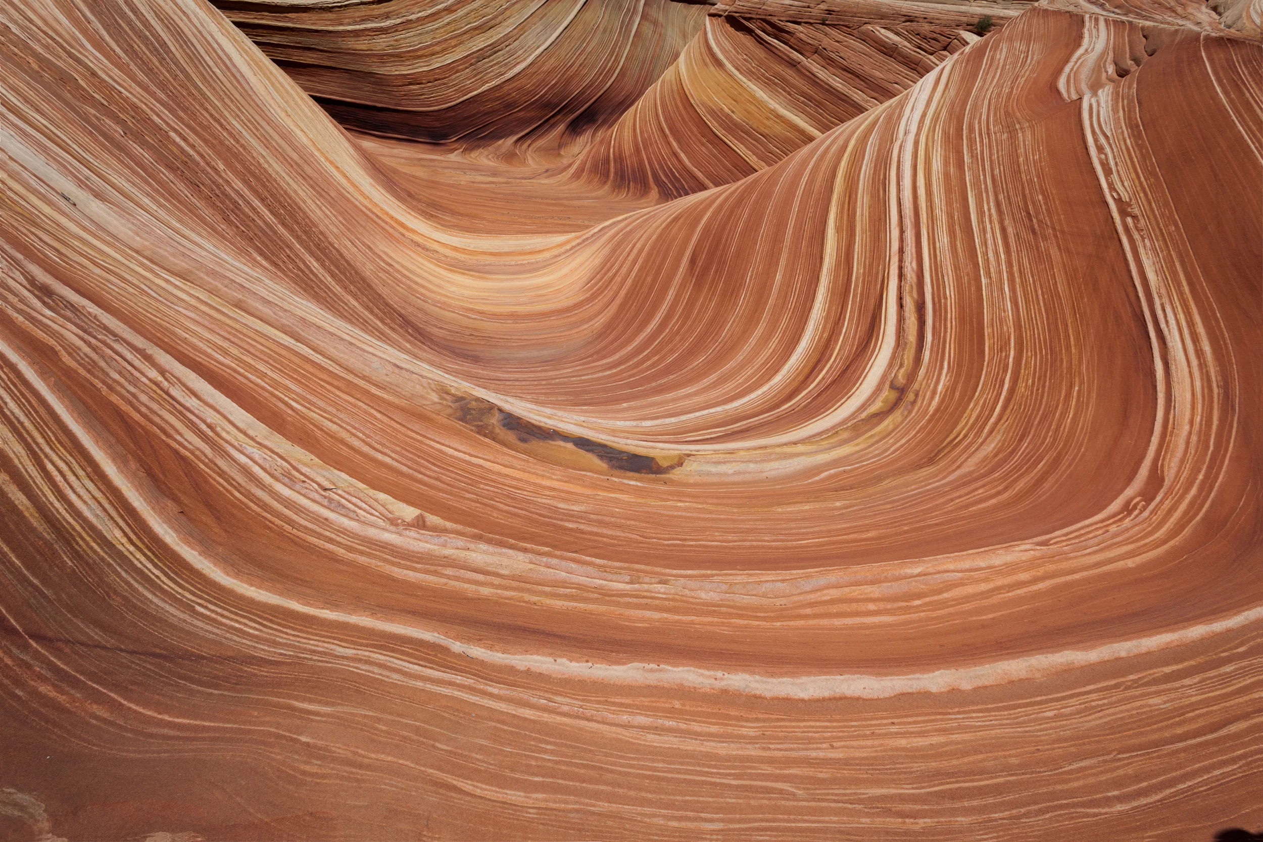 The Wave Without a Sky