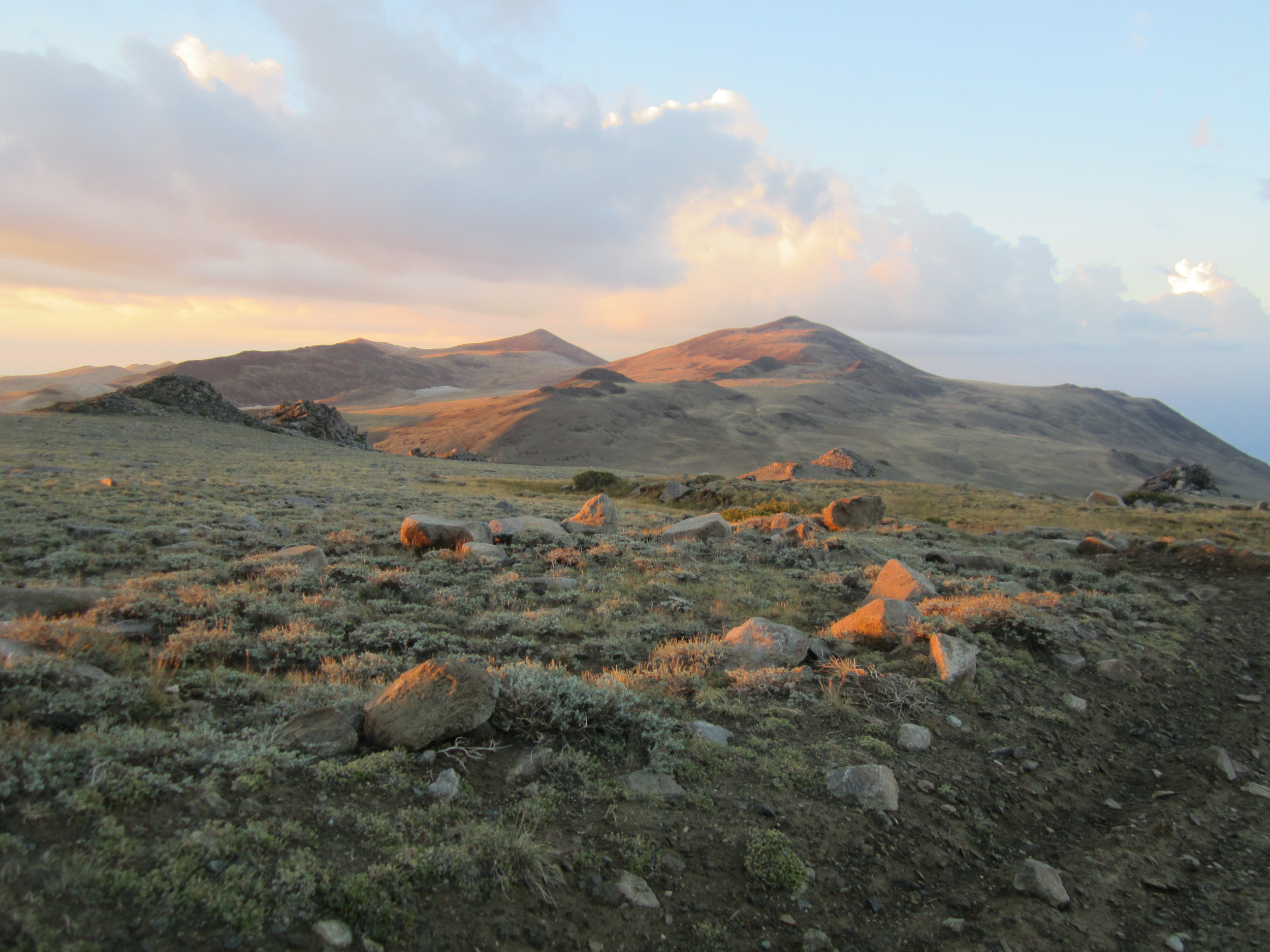 White Mountain, 14,252'