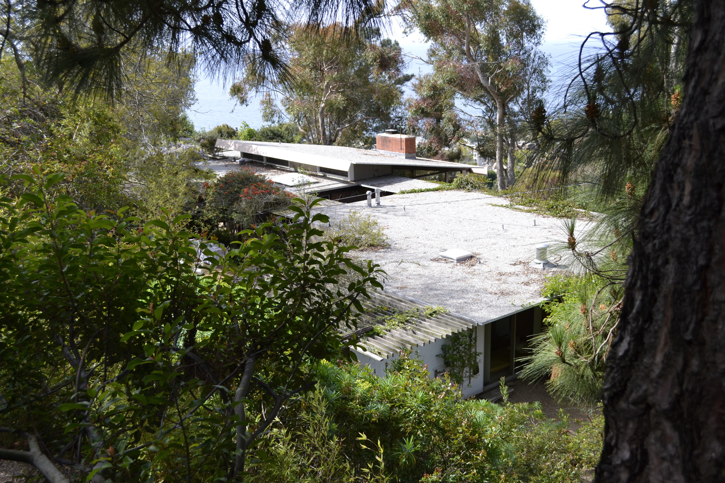 Hortense Miller Garden