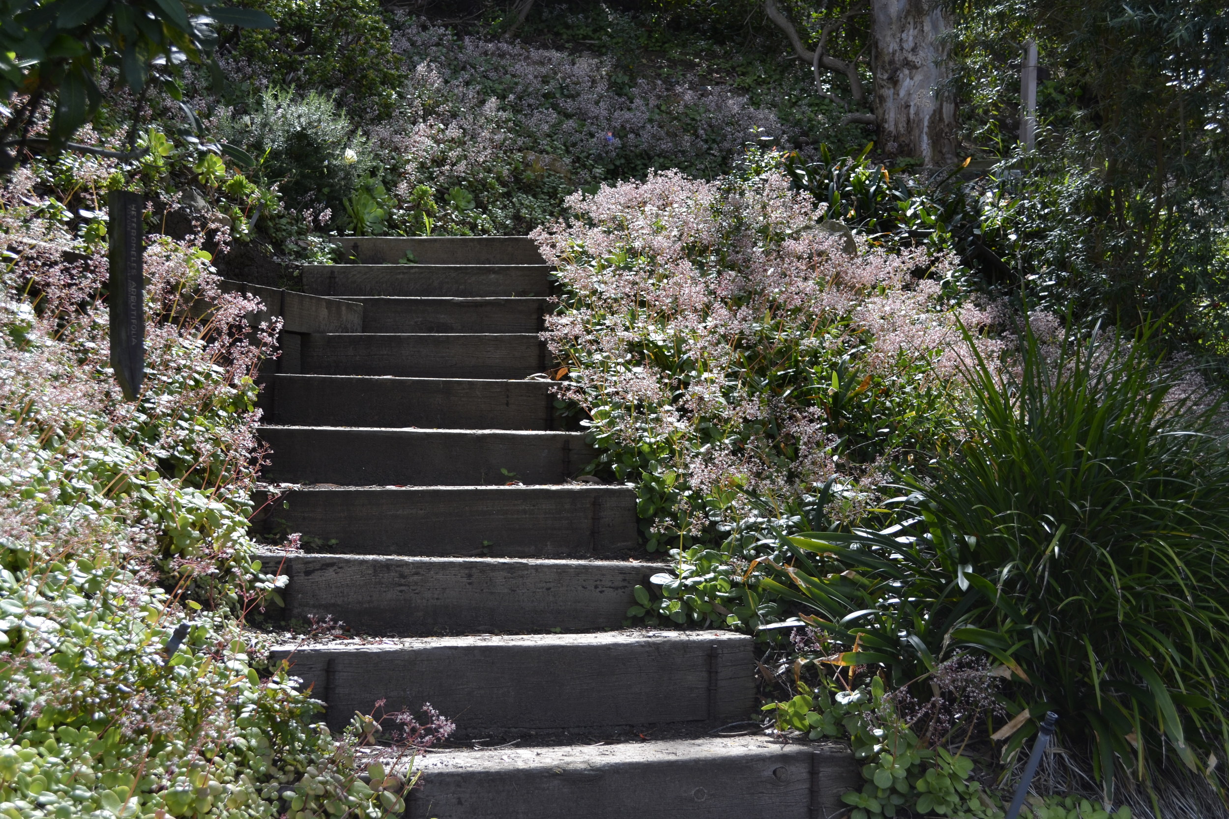 Hortense Miller Garden