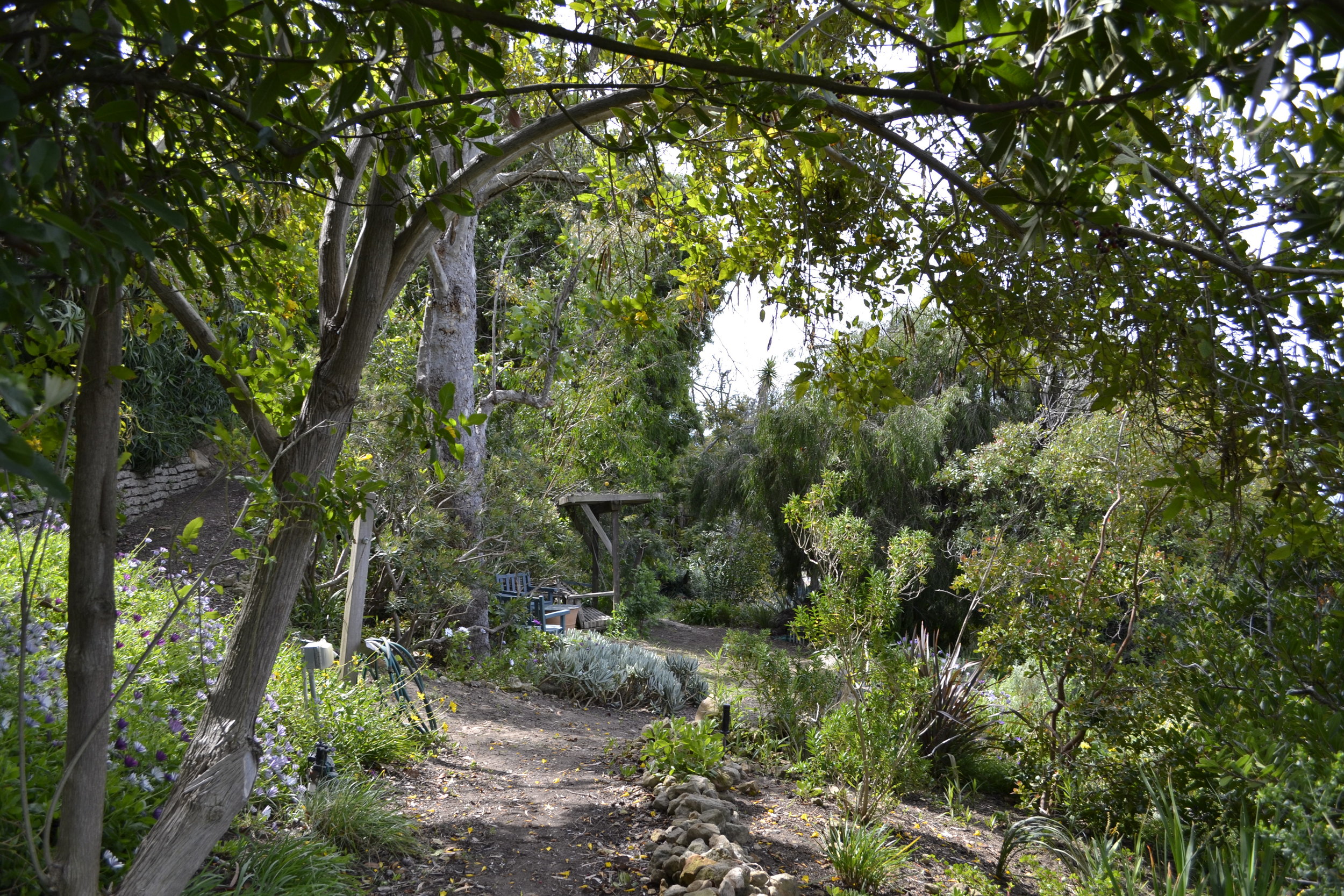 Hortense Miller Garden