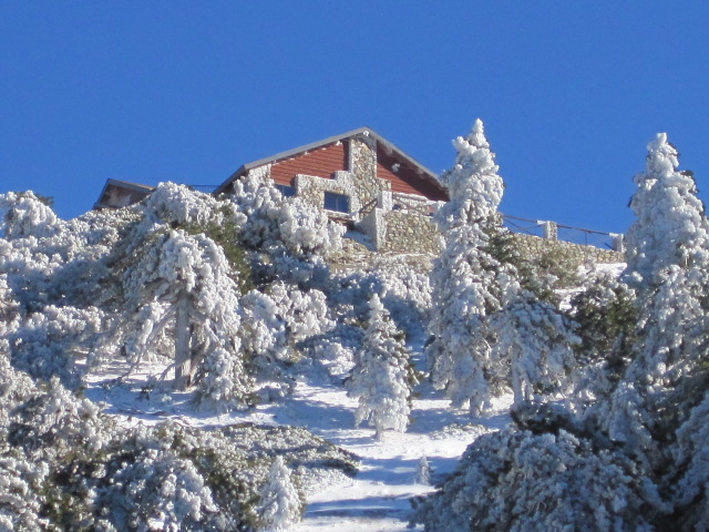 Snow to Surf Thanksgiving