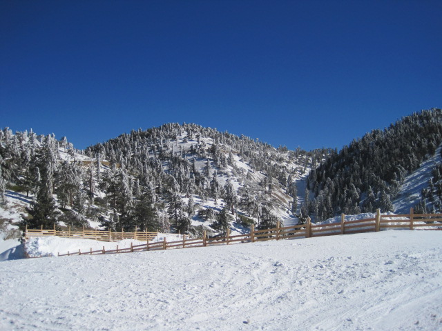 Snow to Surf Thanksgiving