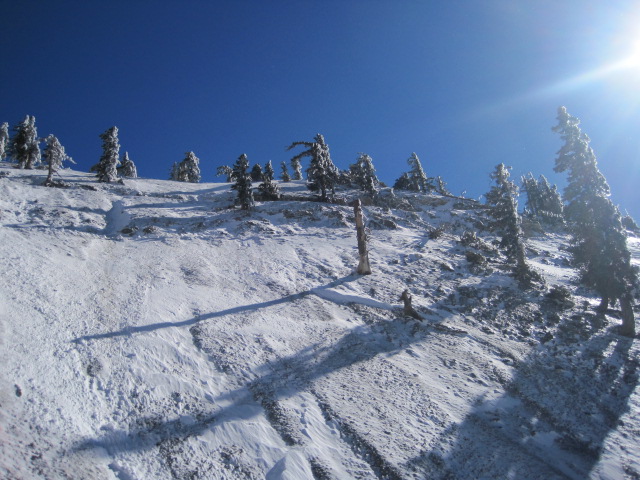 Snow to Surf Thanksgiving