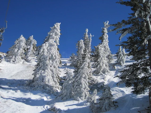Snow to Surf Thanksgiving