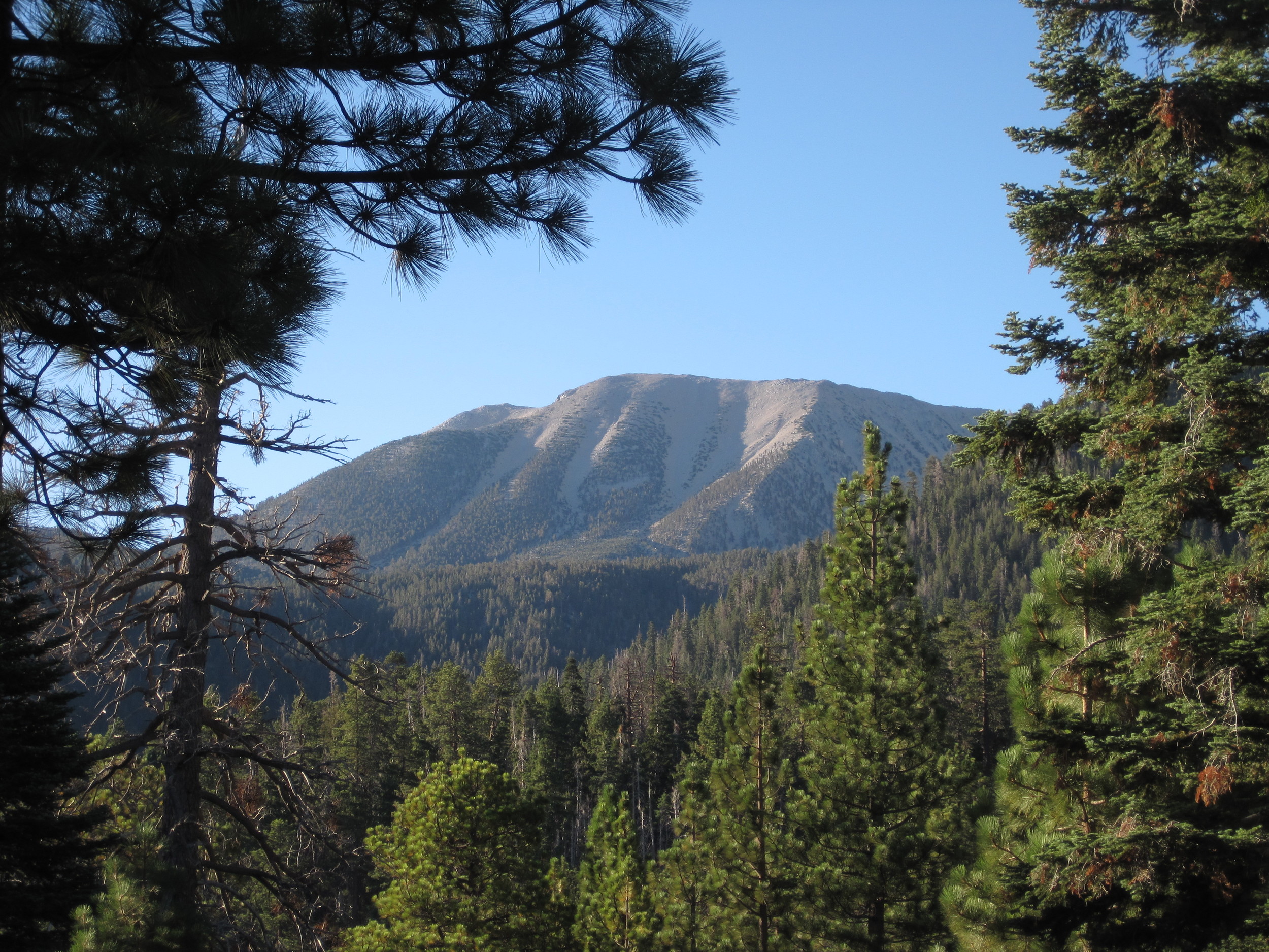 From Mountains to Surf