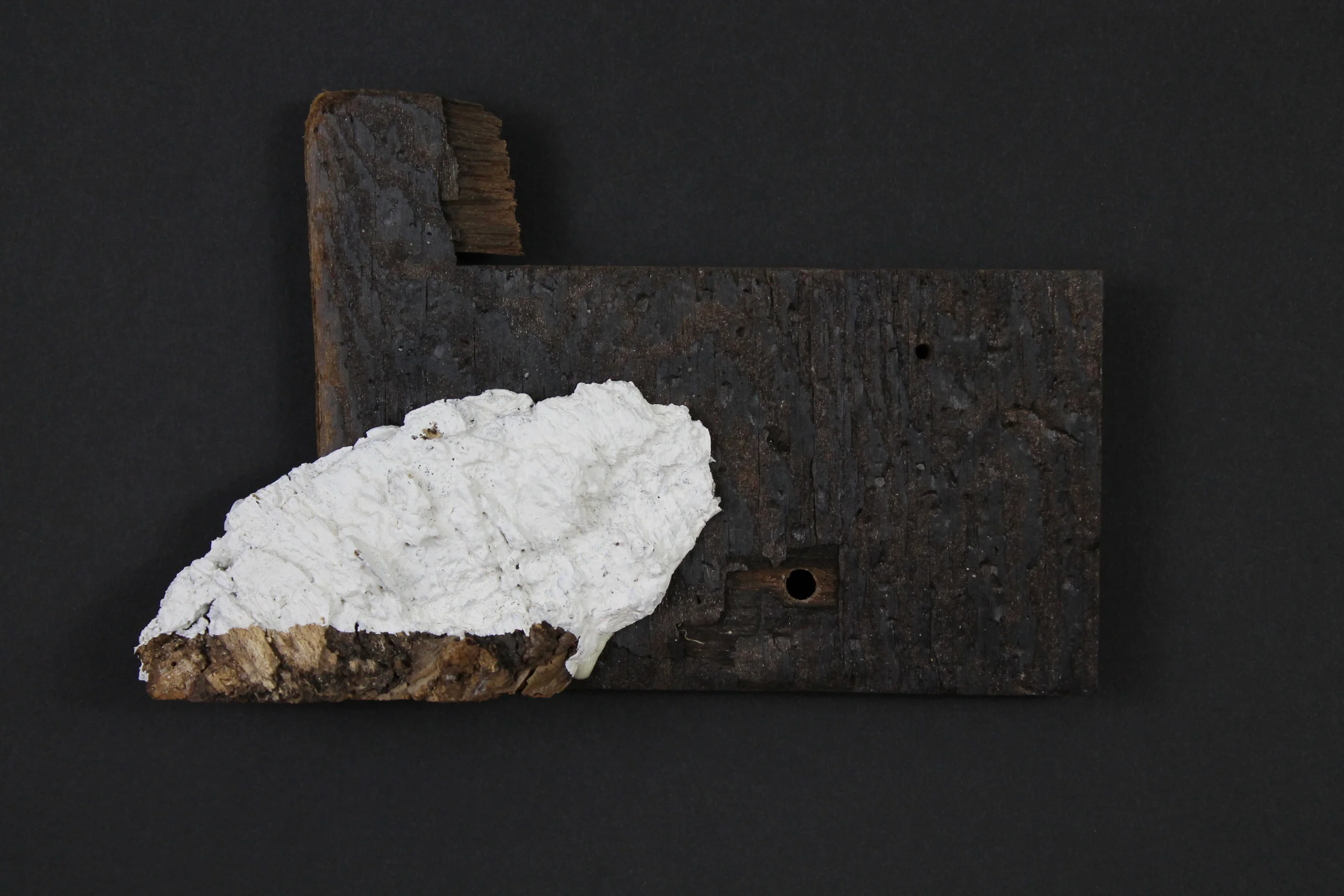   ioi small force ,
2011  



 mixed media on found wood 

 7.5 x 5.5 x 1 inches  



