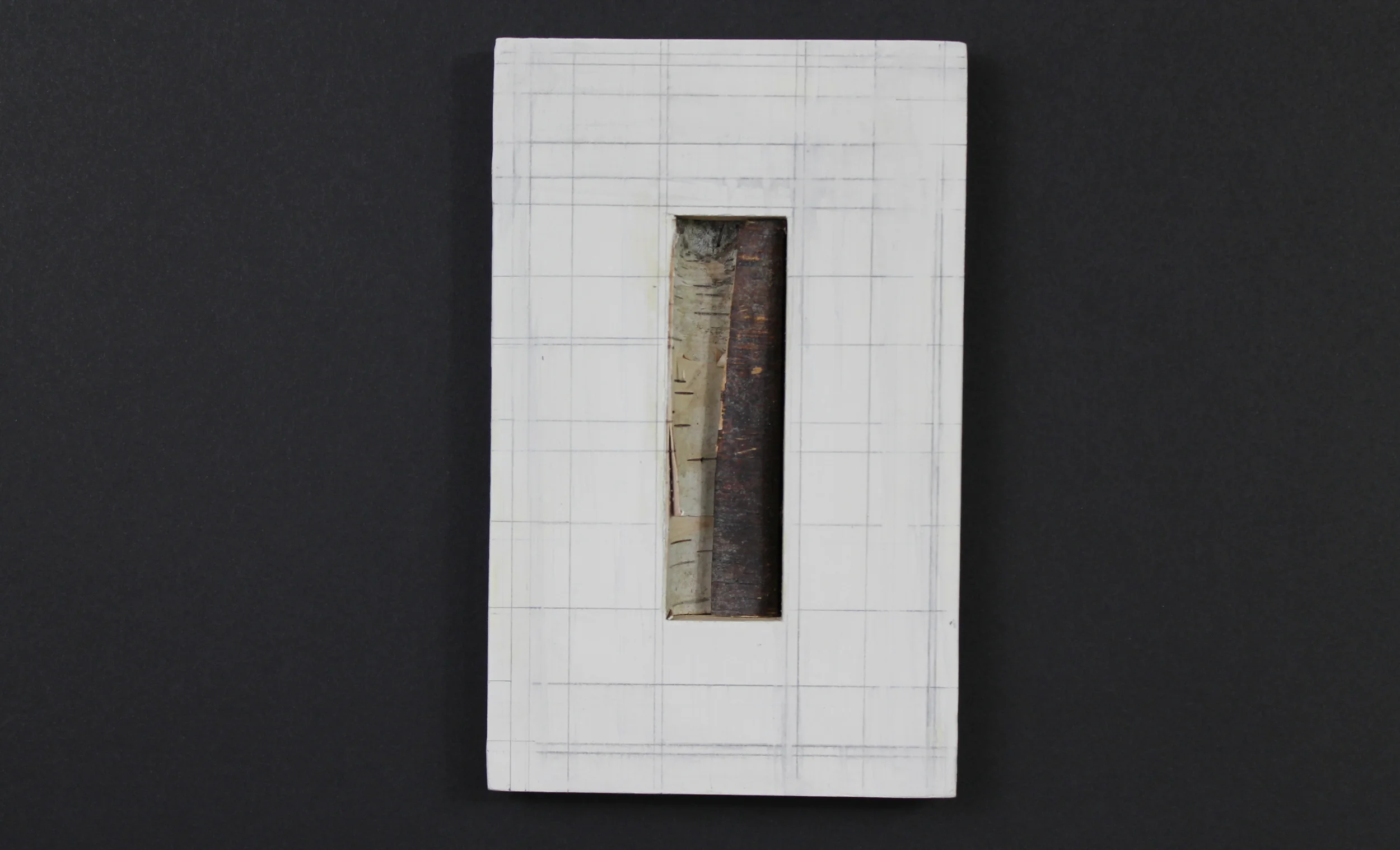  

  ioi serra , 2011 

 mixed media on wood, found wood 

 4.75 x 7.5 x .75 inches 

 


 ​ 