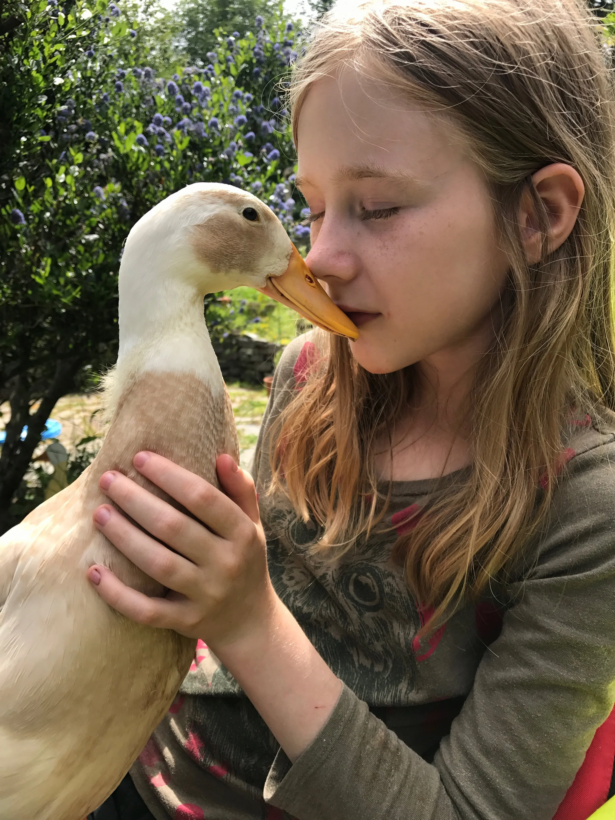 Talula and our duck Jemima. named after Jemima Puddle duck by Beatrix Potter