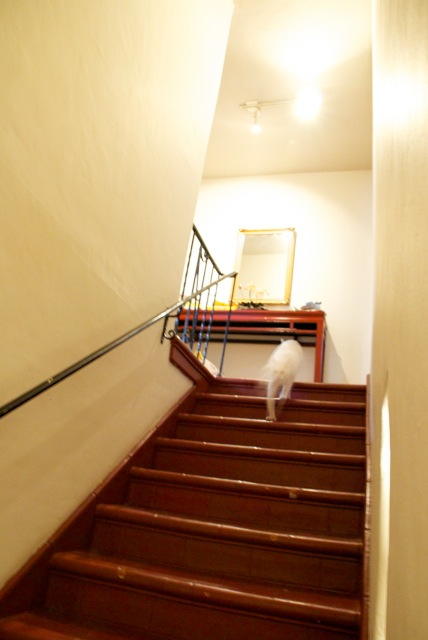 DSC_0063.jpeg