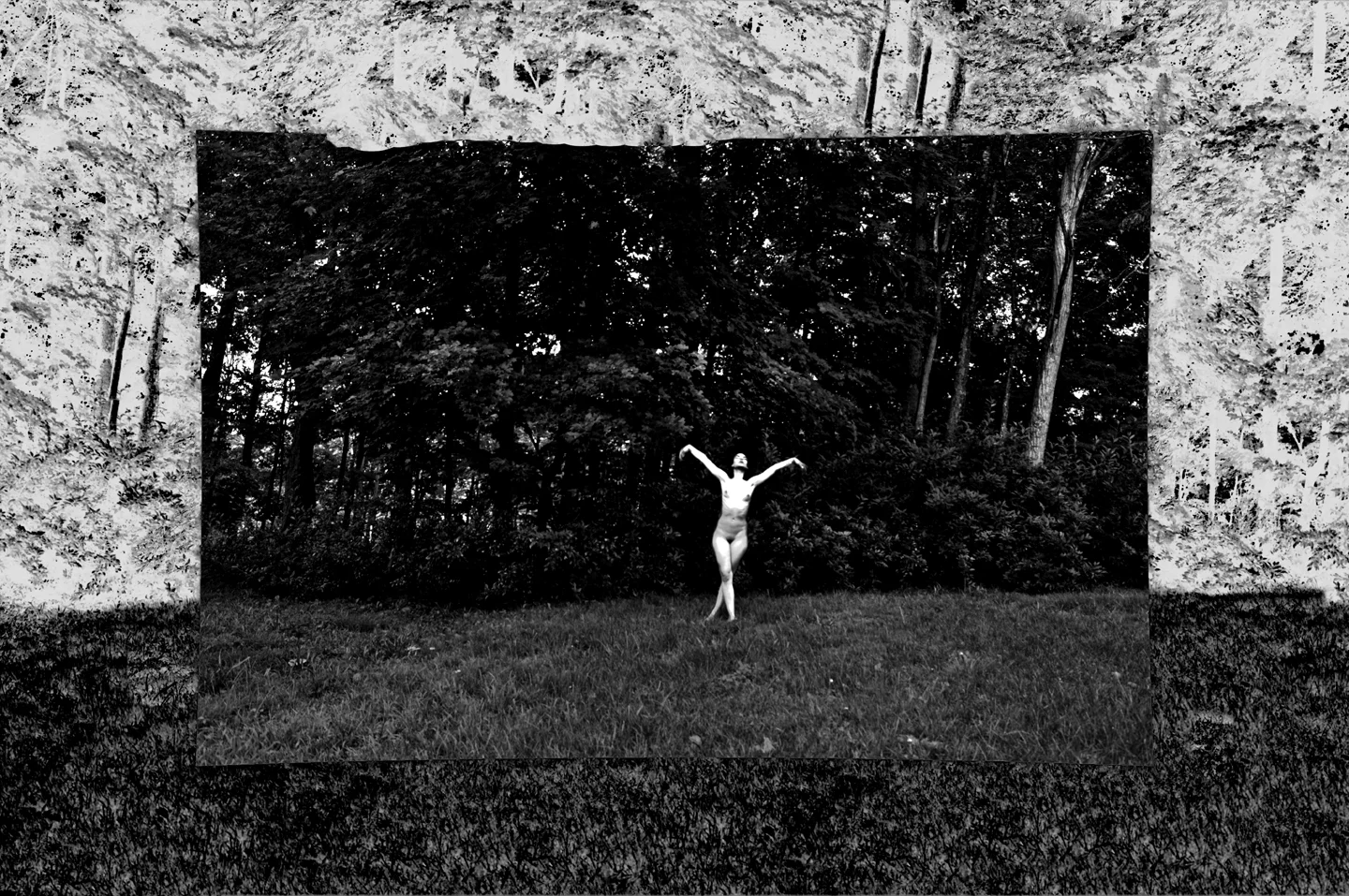 DSC_0340edit.jpg