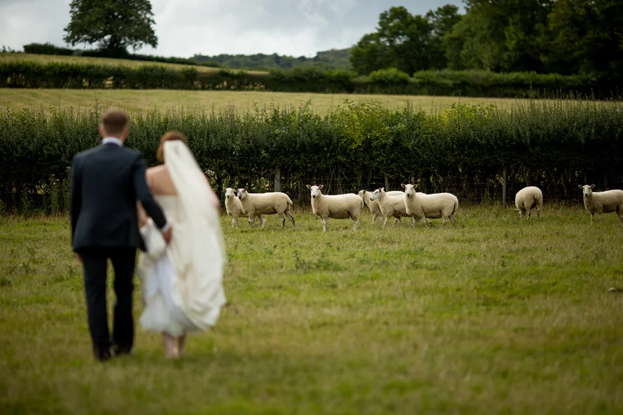 Katie + Will | Wrexham, Wales Wedding