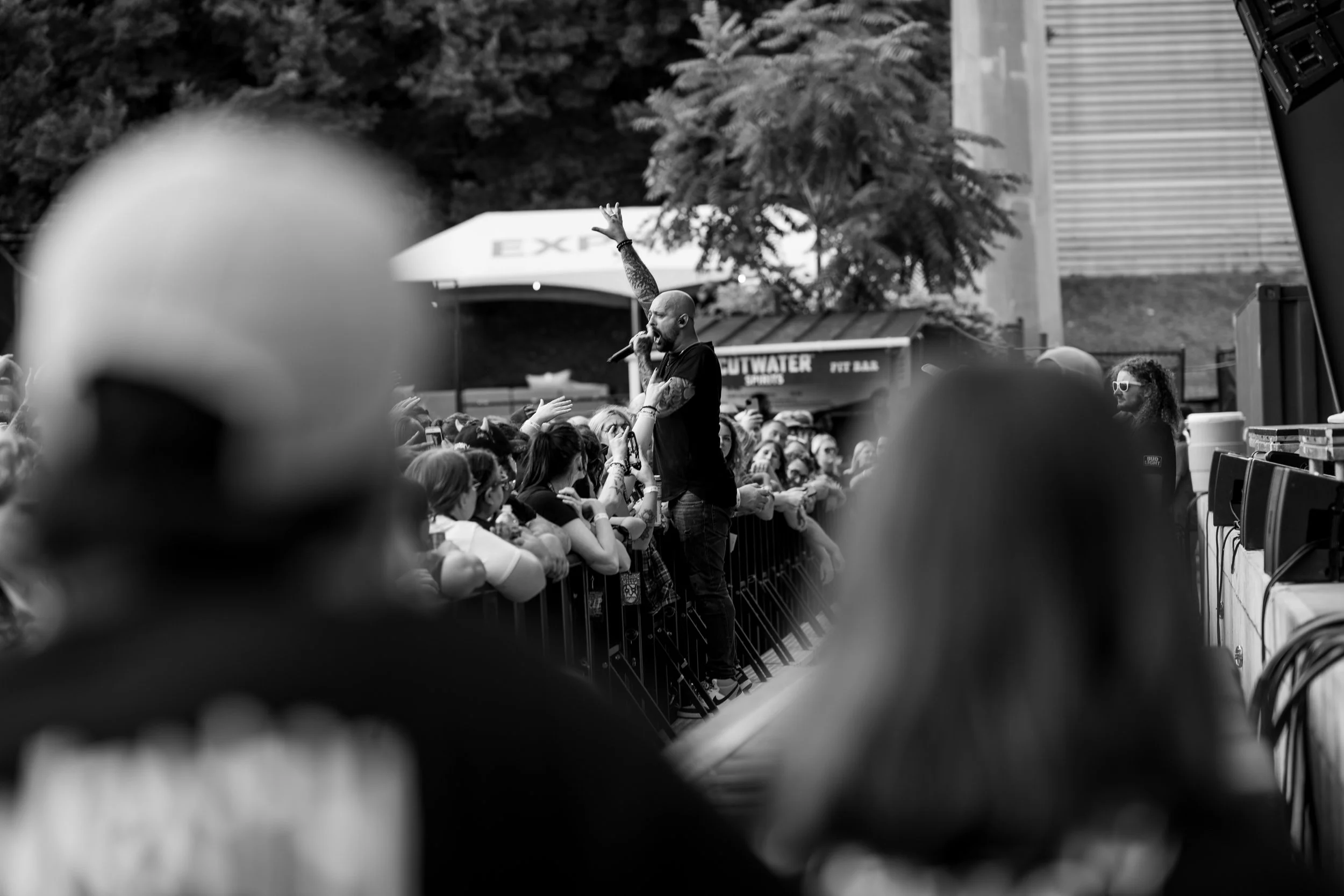 DSC06431.jpg