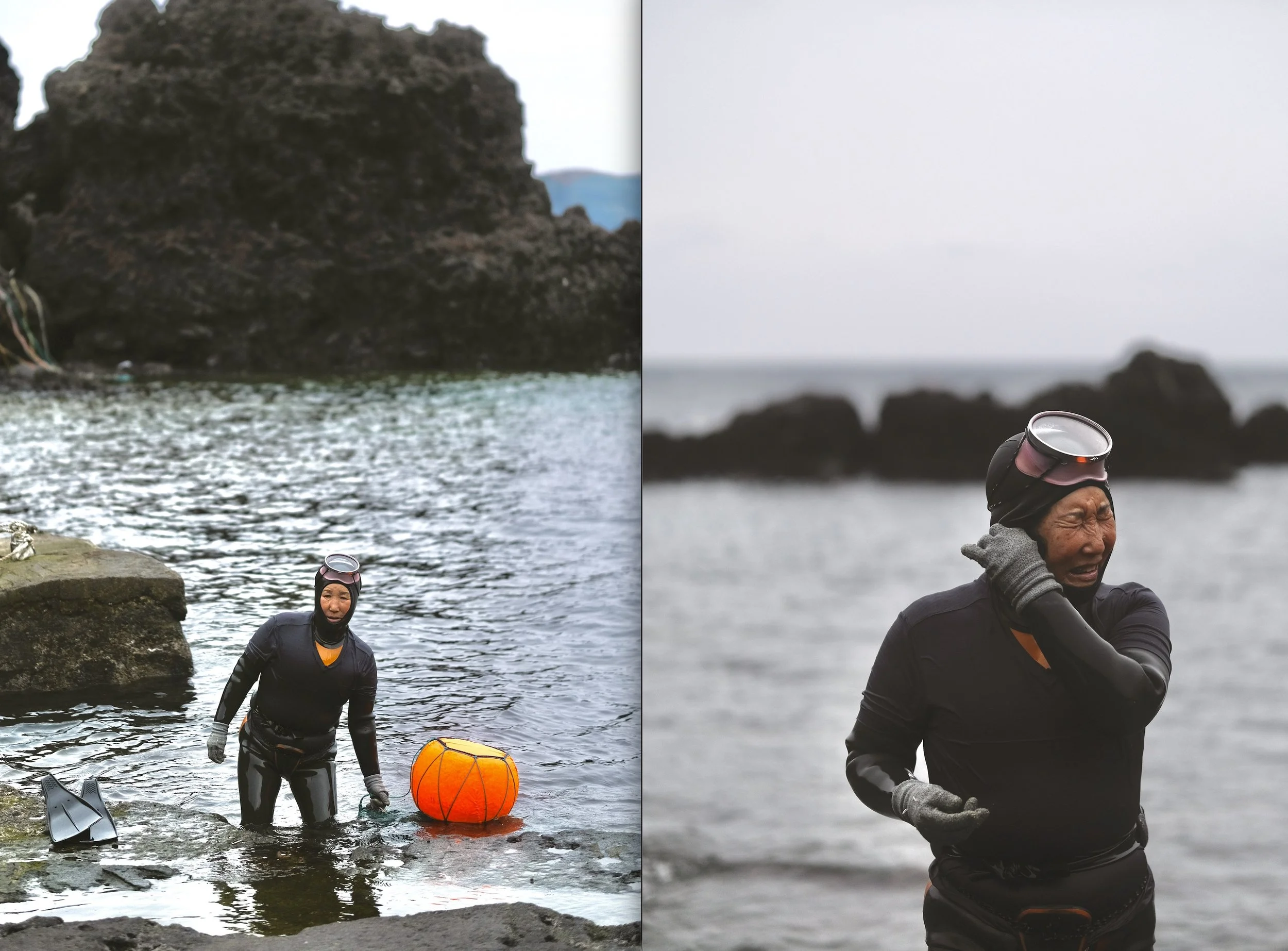 Screenshot 2026-02-16 at 10.27.31 PM.jpg