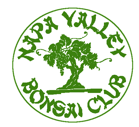 Napa Valley Bonsai Club