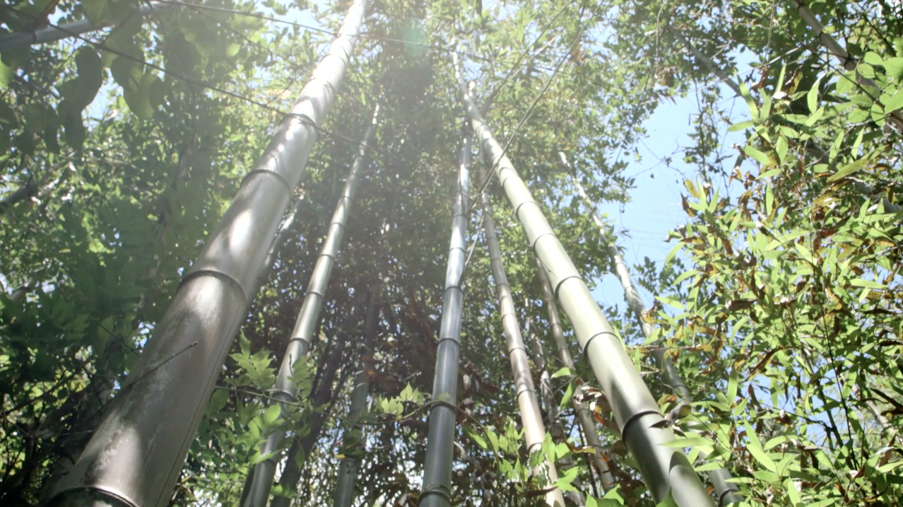 Screen Shot 2017-02-20 at 11.08.07 AM.png