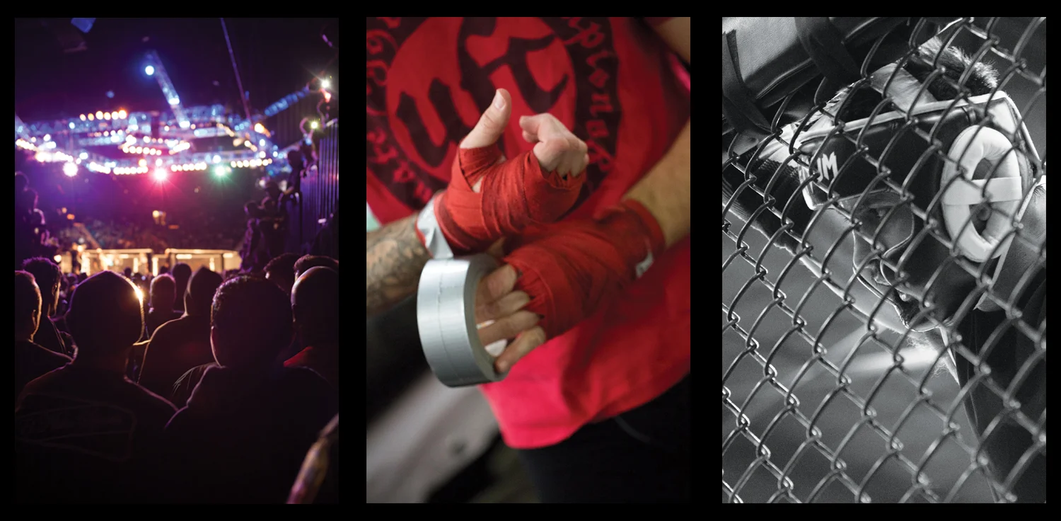 UFC1.jpg