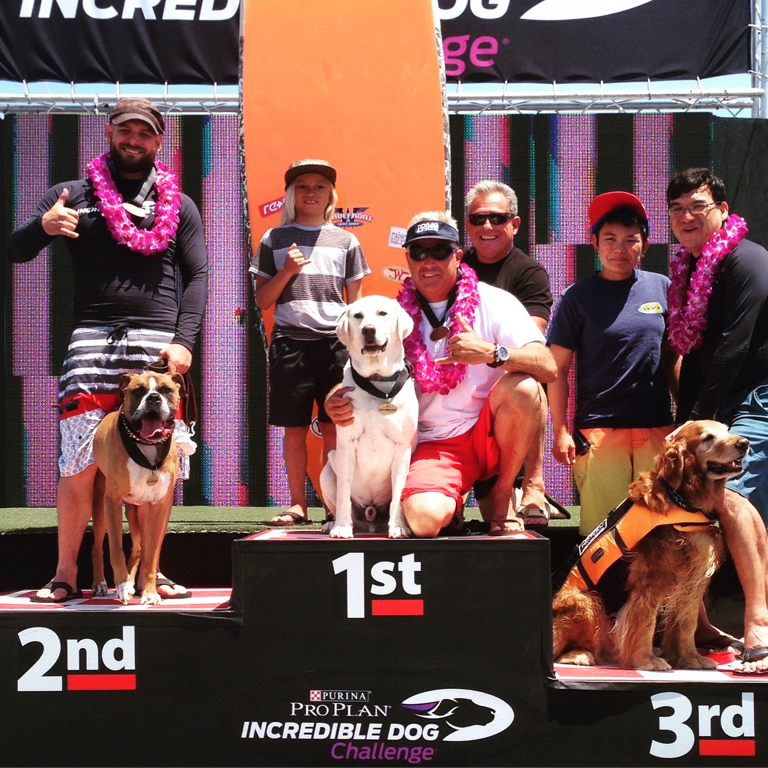 Team rider Haoleboy wins the Purina Dog Challange