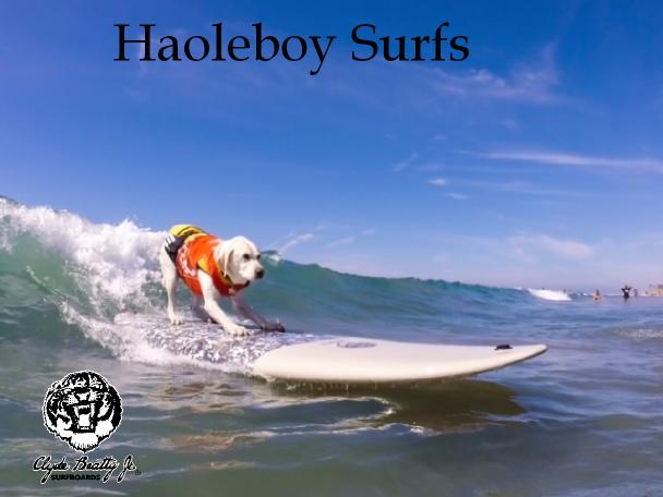 Haoleboy Surfs 2.jpg