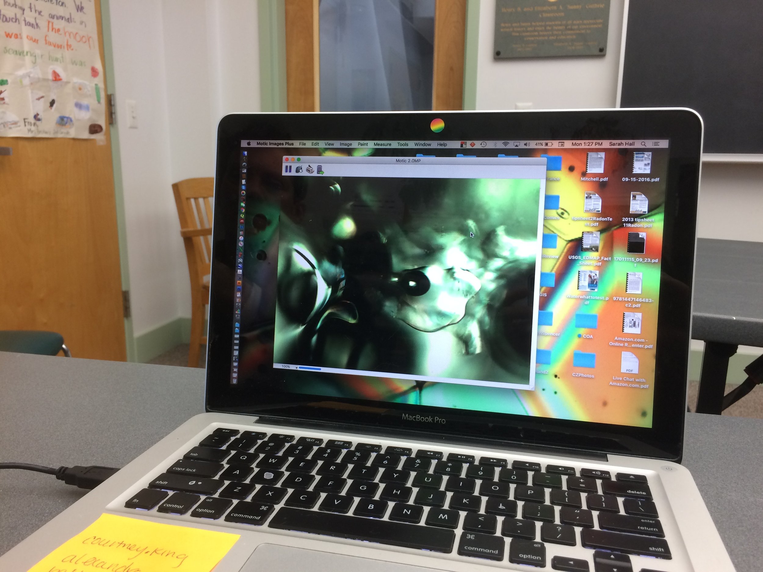 We took screenshots from the microscope's camera.