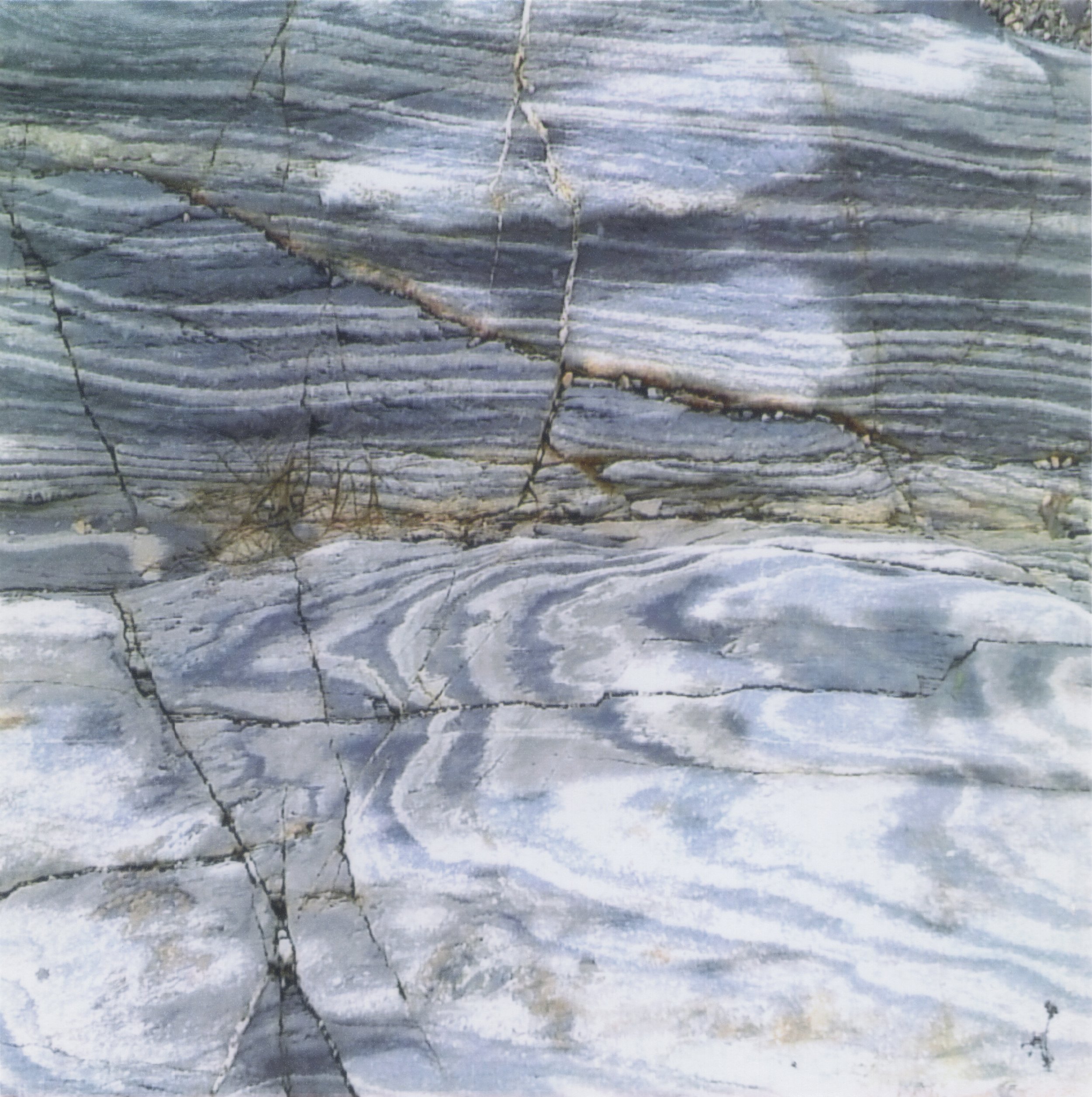 Minishots Bear Cove 12.jpg