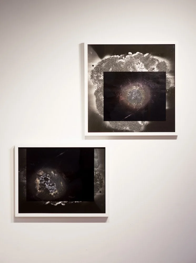 Lewis_Sage_05_Site 1 and 2.jpg