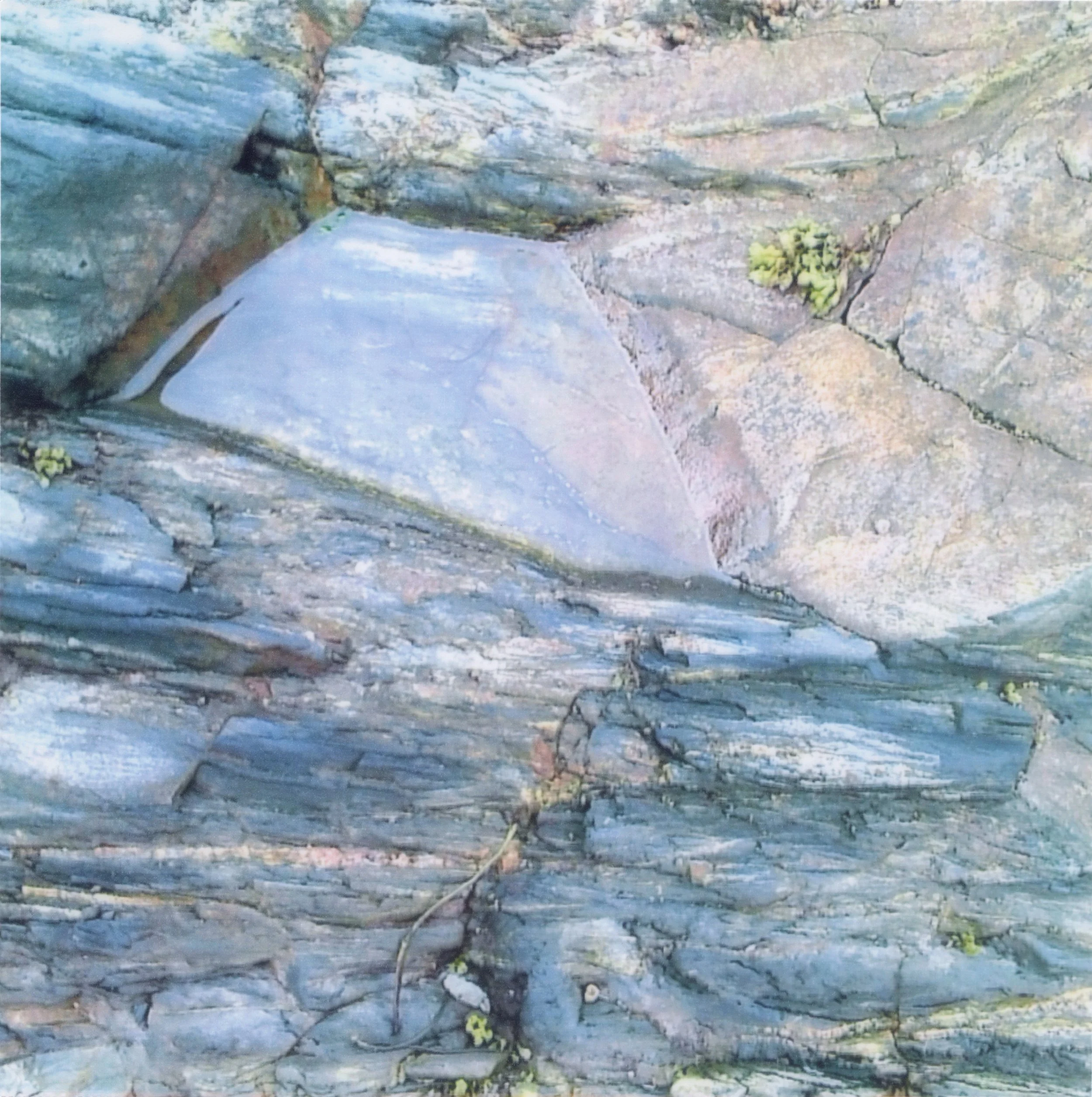 Minishots Bear Cove.jpg