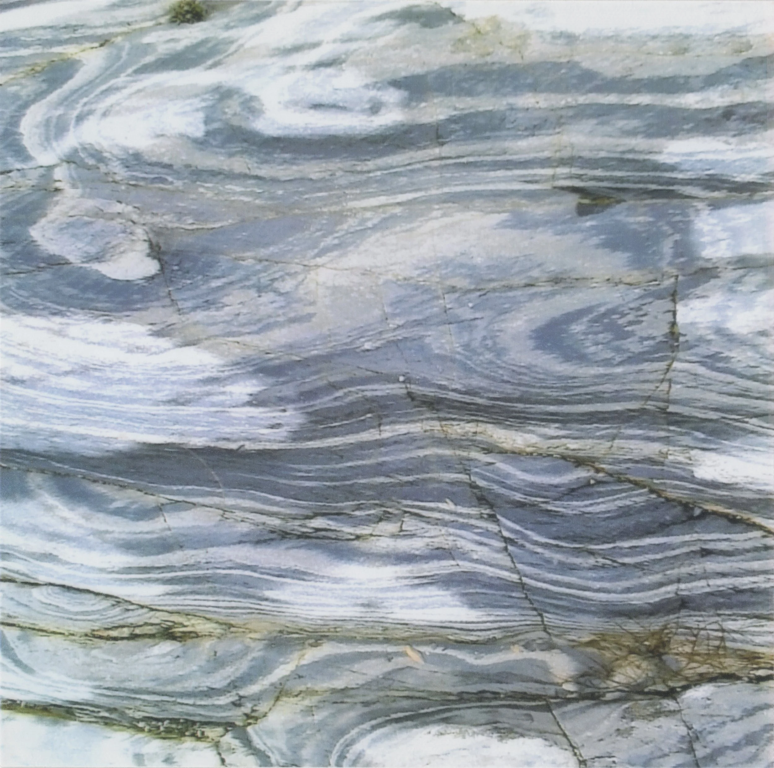 Minishots Bear Cove 11.jpg