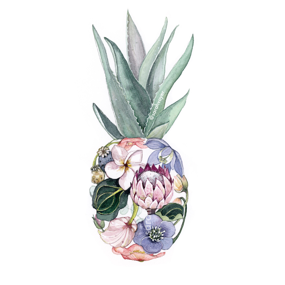 Pineapple watermark .png