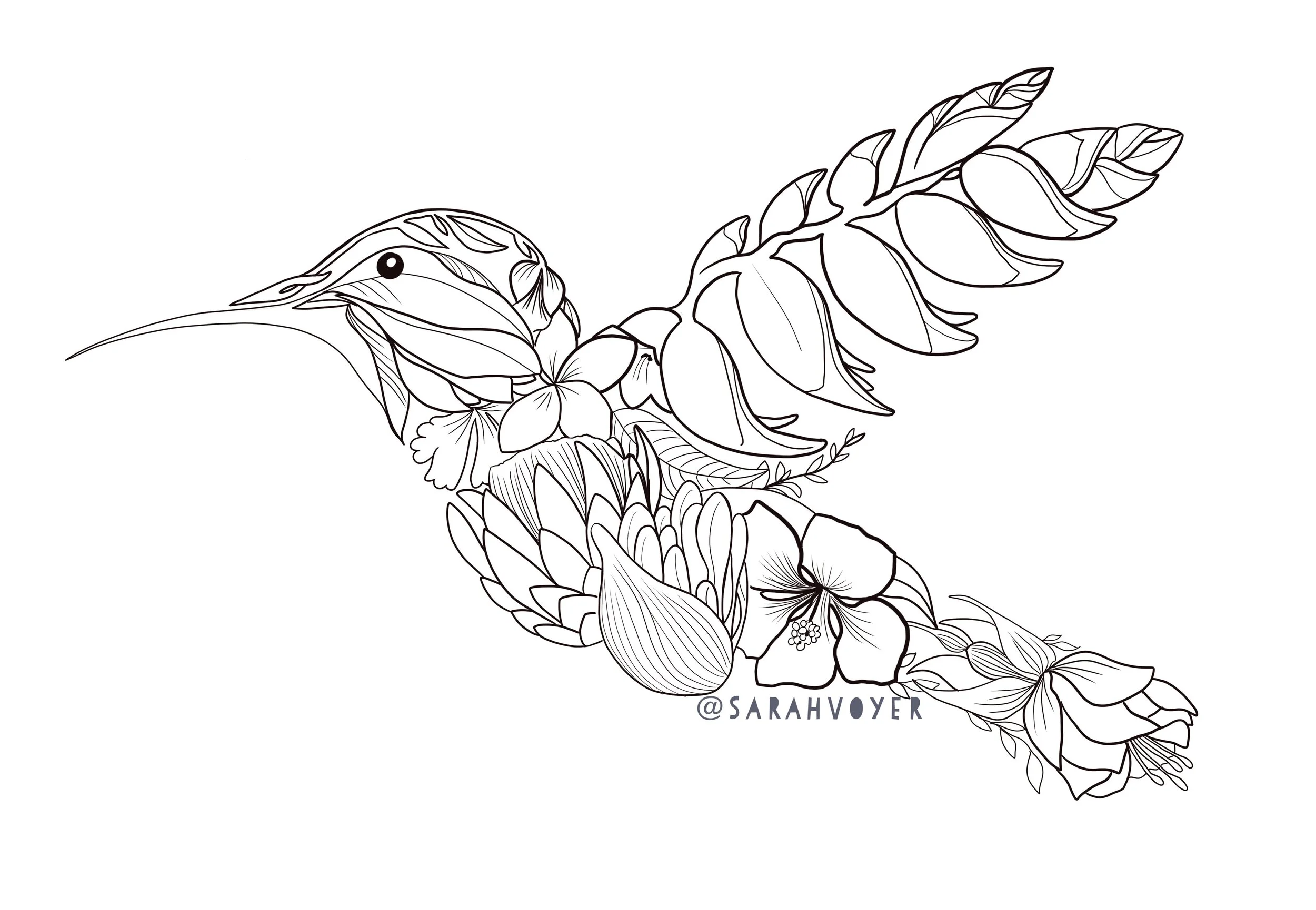 Hummingbird in Flight