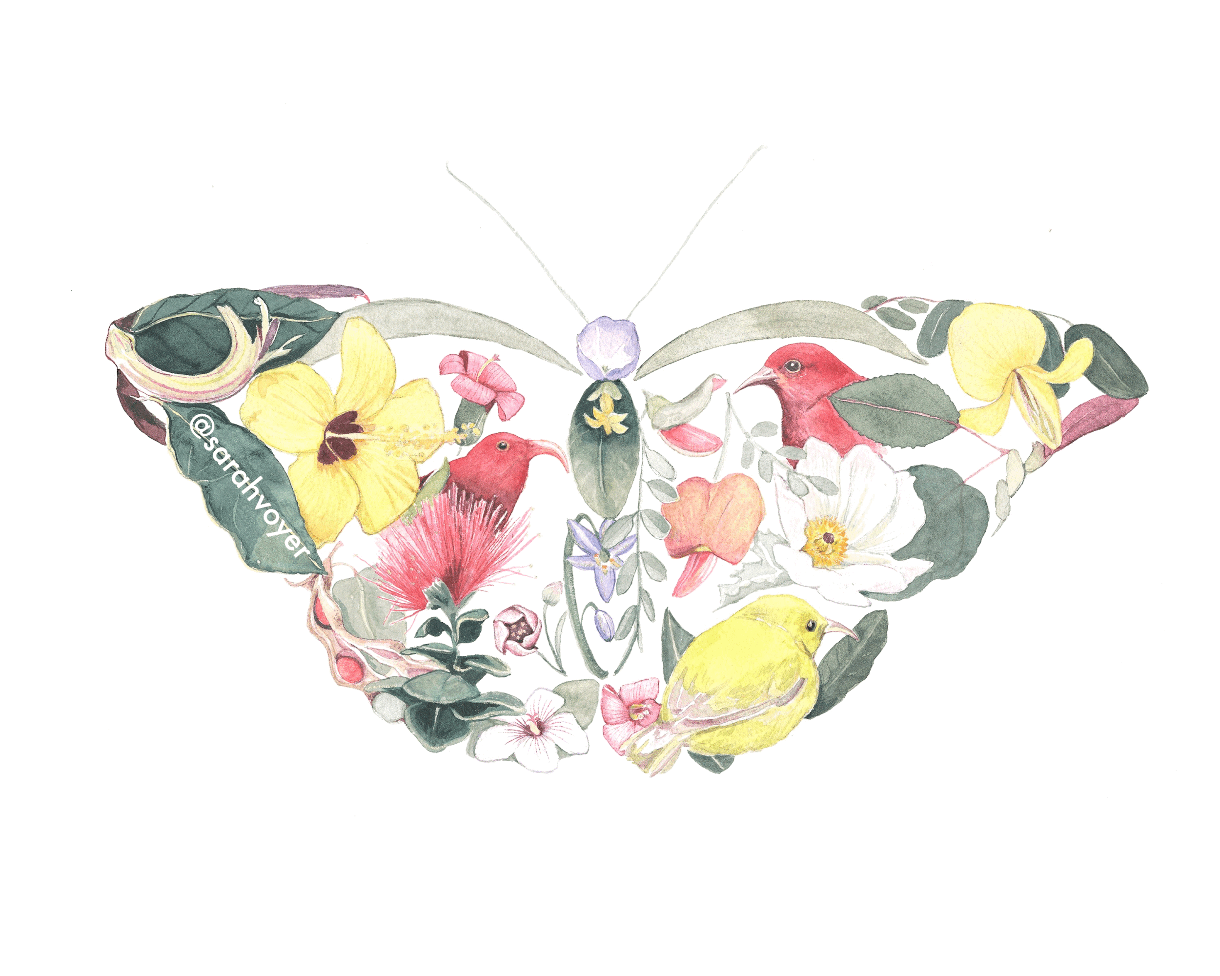 A34AC8BC-3EFB-4659-A1D0-B201668D8123