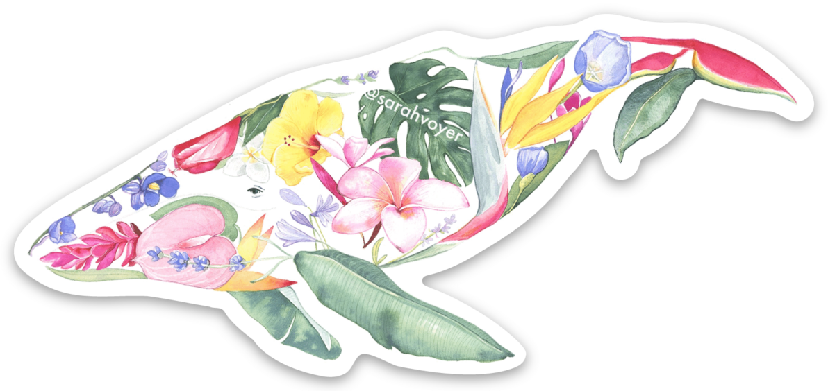 0976930E-B7D2-429C-8279-2A5E12235F06