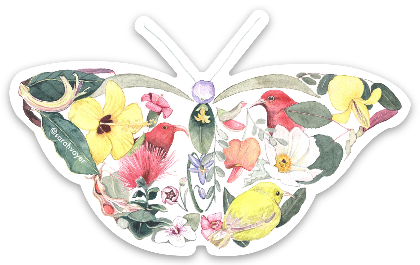 FBFDA55F-184F-43CC-B6D3-164B21C89FA9