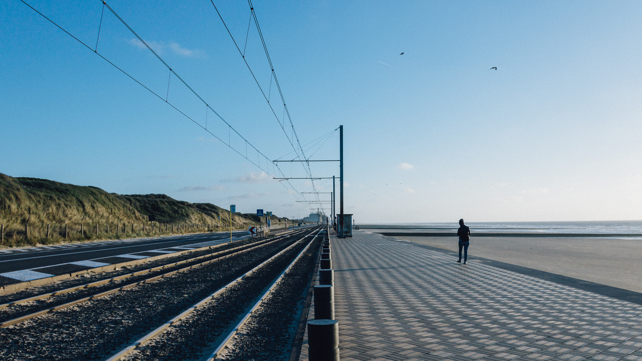 Vanishing Tram Lines