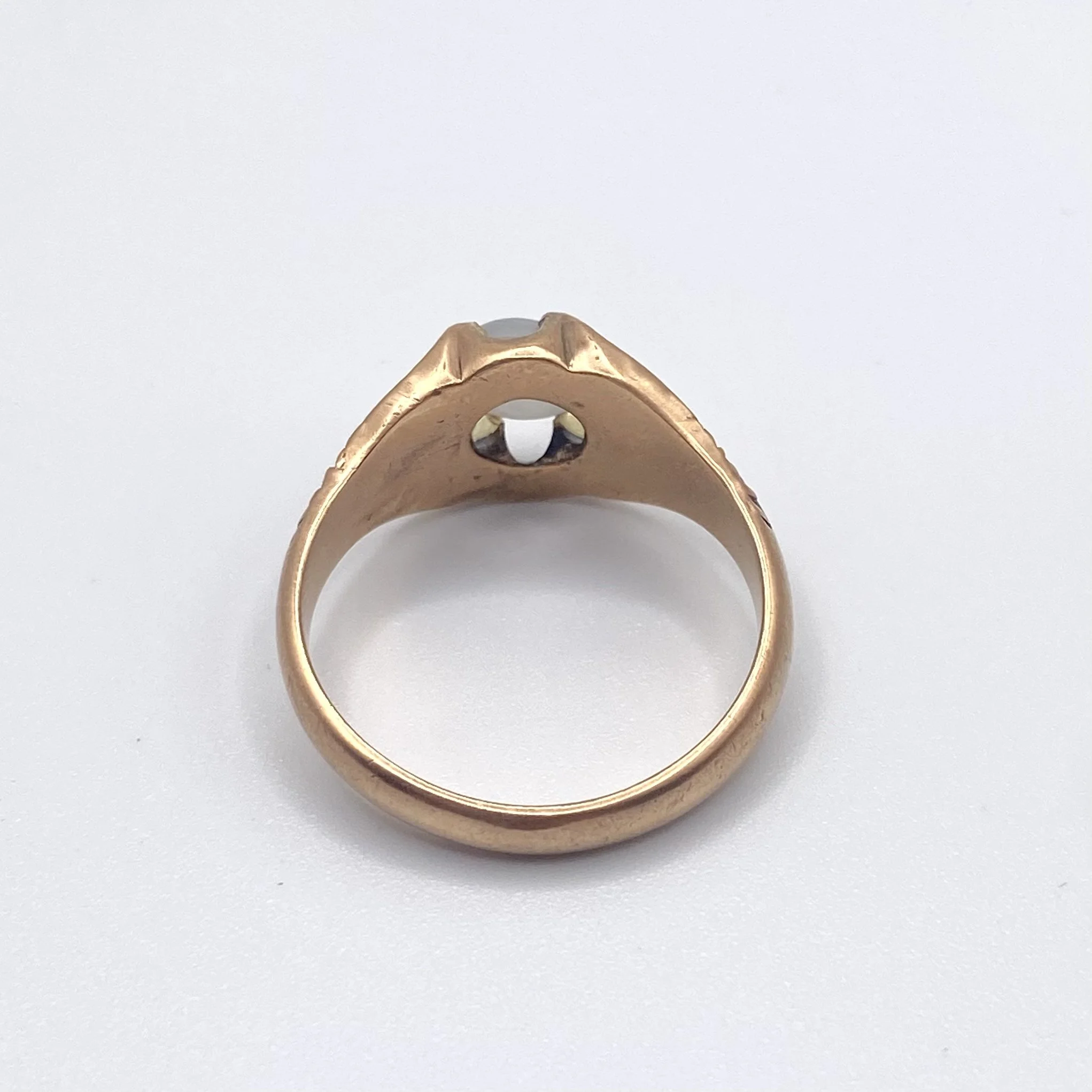 Photo Feb 18 2026, 1 18 42 PM.jpg