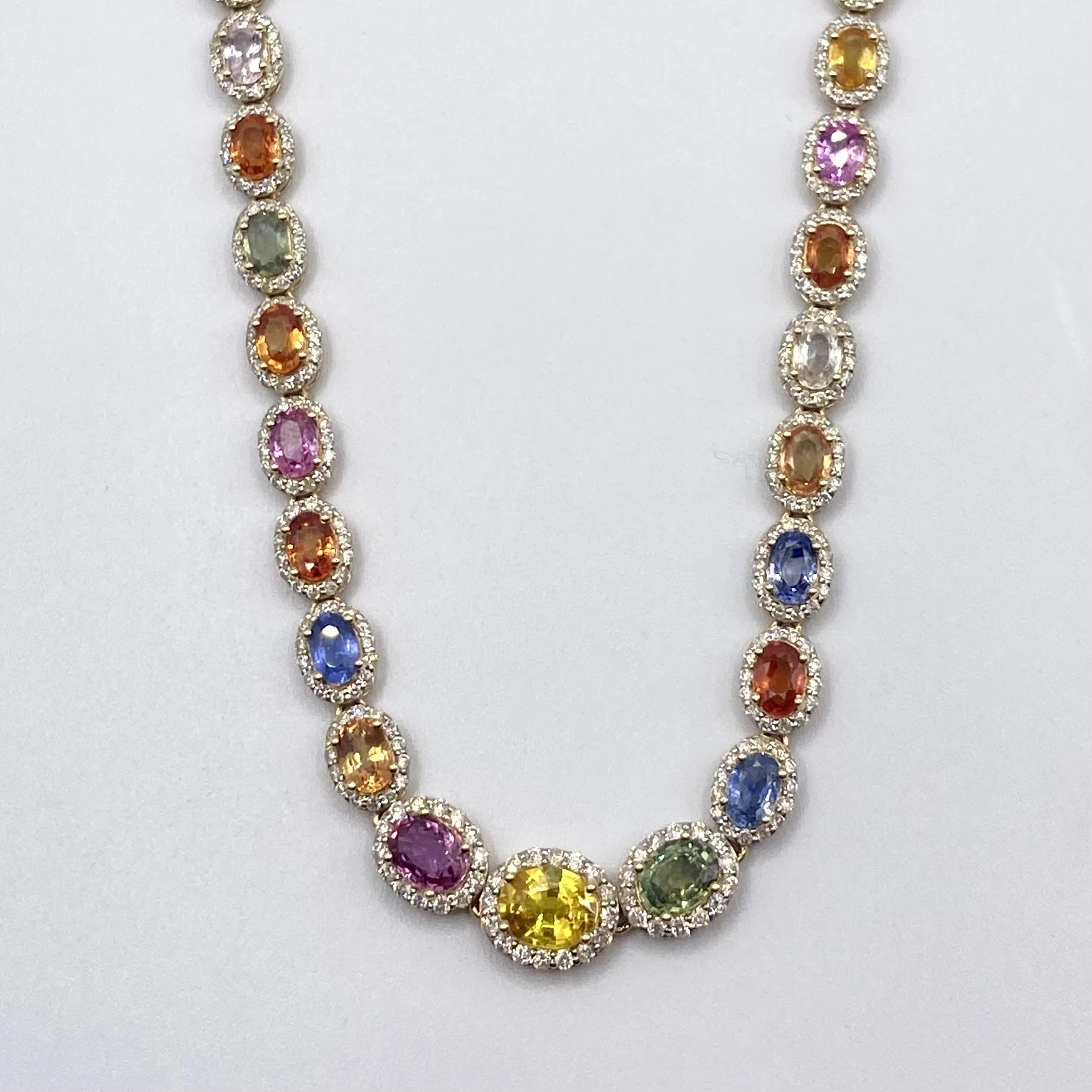 Photo Apr 16 2026, 11 03 38 AM.jpg