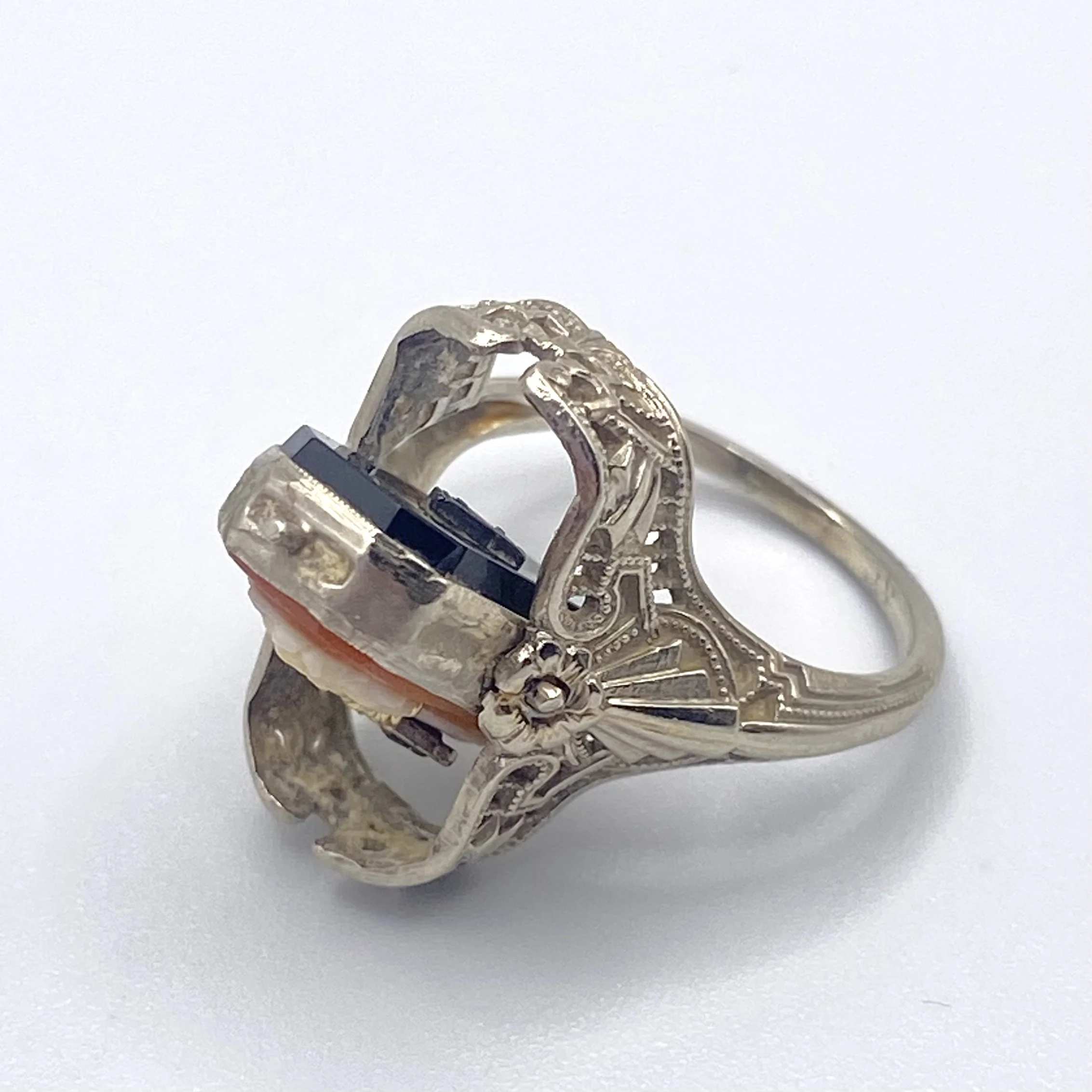 Photo Feb 18 2026, 1 29 06 PM.jpg