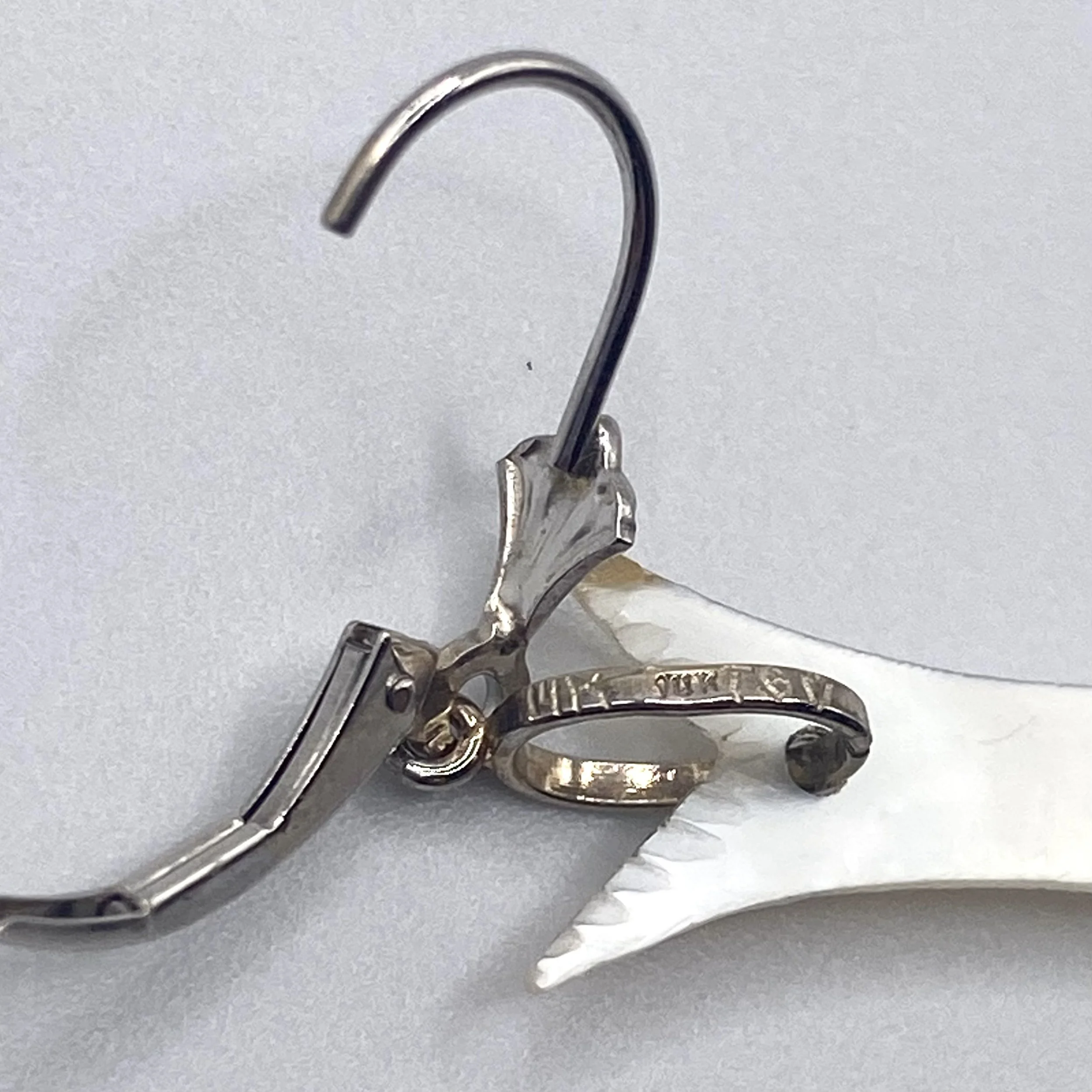 Photo Jan 16 2026, 12 53 45 PM.jpg