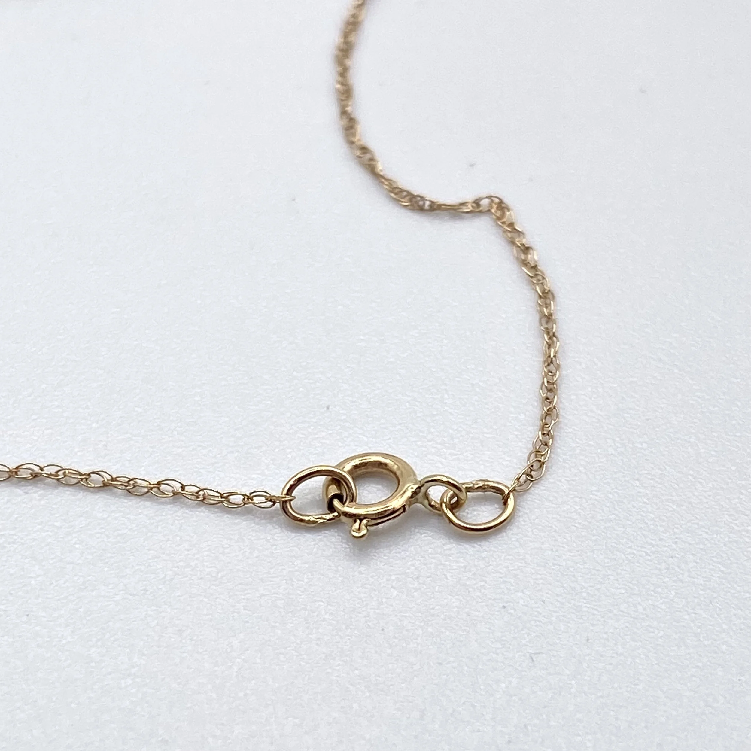 Photo Feb 07 2026, 1 44 32 PM.jpg