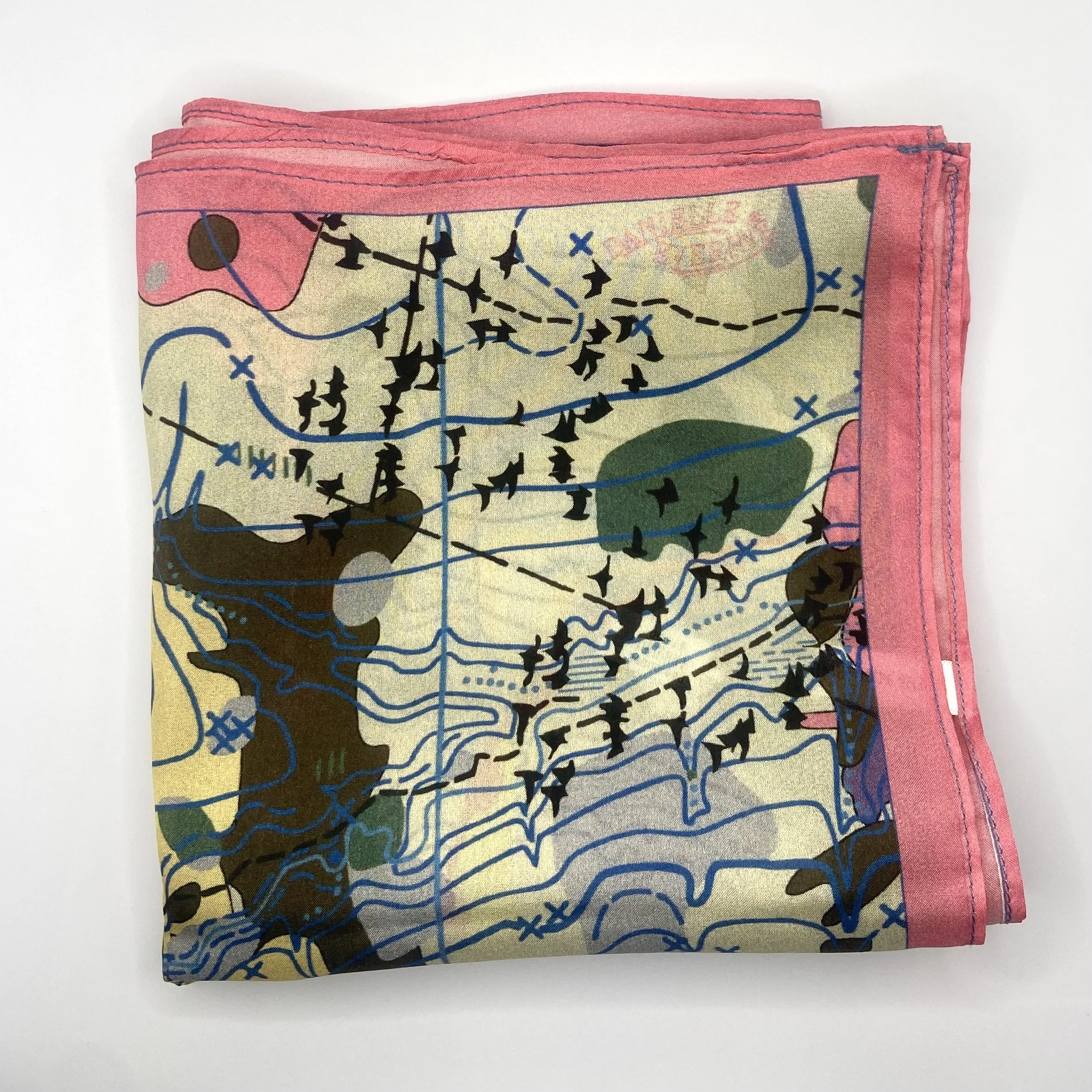 Topographical Migration w/ Pink Border
