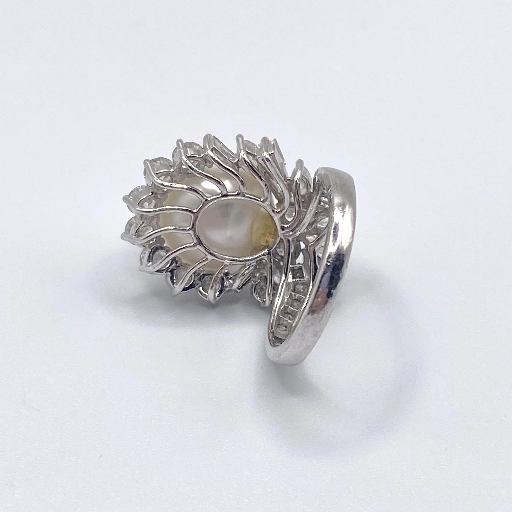 Photo Jan 28 2026, 11 08 21 AM.jpg