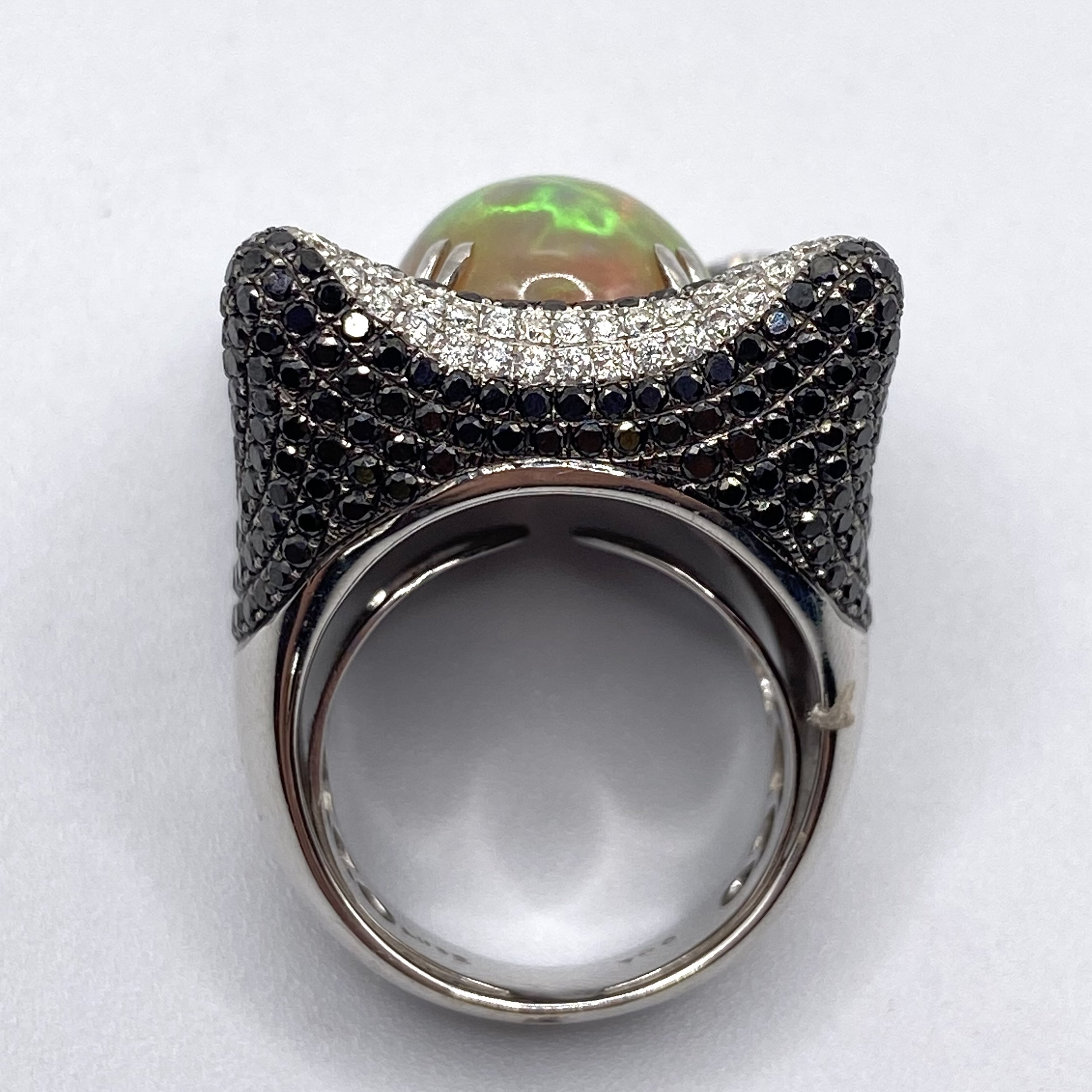 Photo Feb 05 2026, 1 00 47 PM.jpg