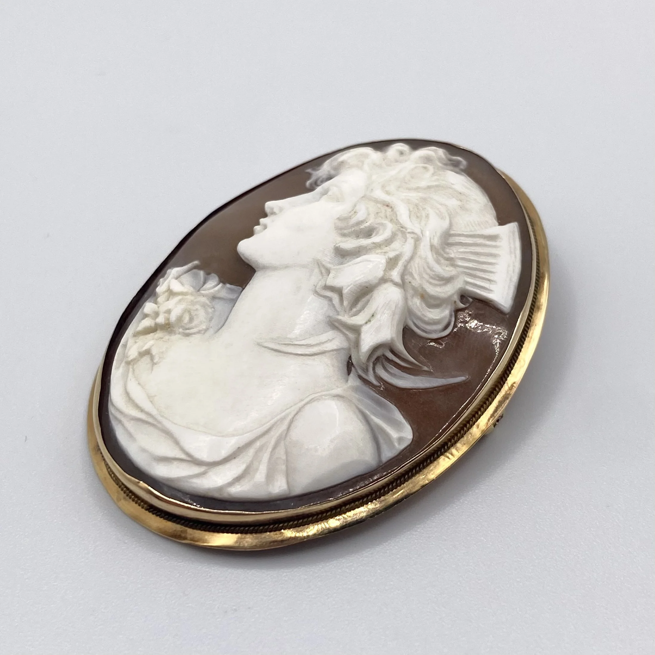 Brown Cameo Convertible Pin / Pendant