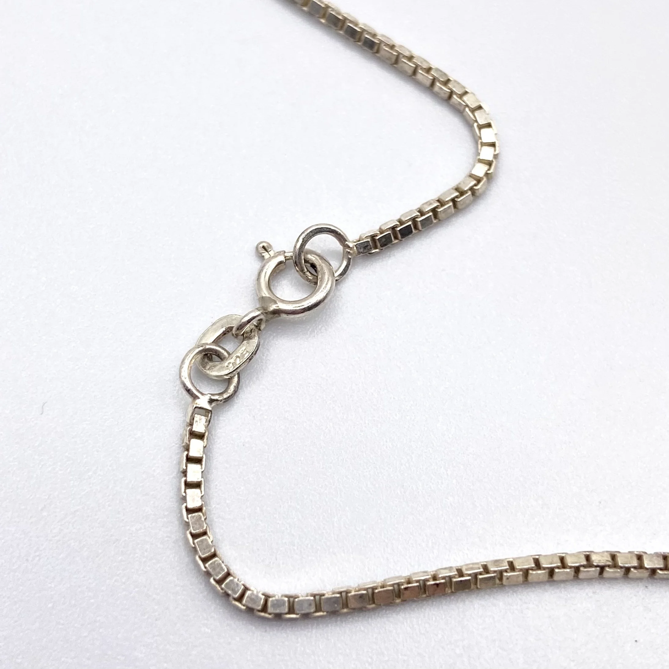 Photo Feb 25 2026, 2 47 58 PM.jpg